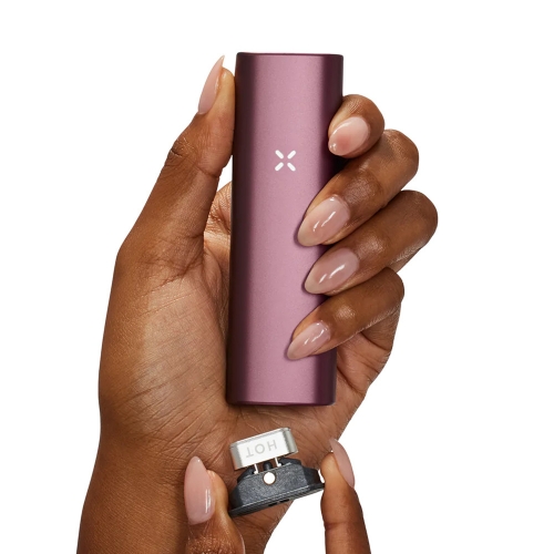 PAX Plus Vaporizer *Elderberry*